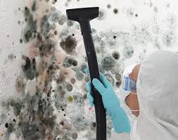 Best Mold Removal for HVAC Installations  in Steep Falls, ME